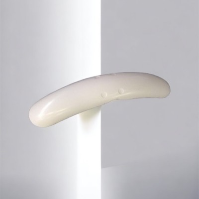 Standard smooth front fender Bonneville Thruxton Scrambler (2001- 2015)