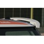 Alettone posteriore Mini Cooper R50 R53 dal 2001 al 2007 Cadamuro
