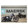 Cupolino mascherina anteriore Cult Werk Harley Davidson Nightster 975