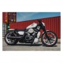 Parafango posteriore stile OEM Cult Werk Harley Davidson Nightster