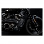 Carbon fiber radiator cover and side panels Harley Davidson Sportster S 1250