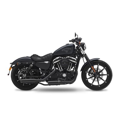 Harley Davidson Iron 1200 scarico Kesstech Riffle on 2 in 2