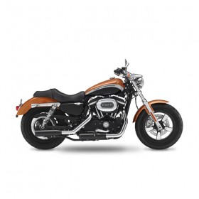 Harley Davidson Sportster 1200 Custom Limited Kesstech Riffle 2 into 2 exhaust