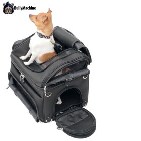 Universal motorcycle bag for dog - animal transport