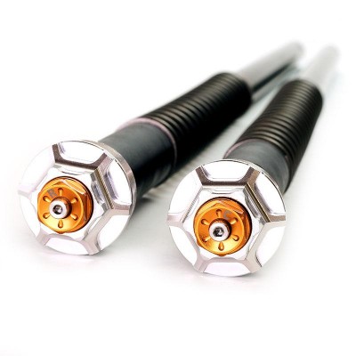 BMW R12 e R12 NineT cartucce forcella Andreani - versione alta + 30 mm