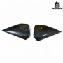 Coppia fianchi laterali in carbonio BMW R12 e R12 NineT
