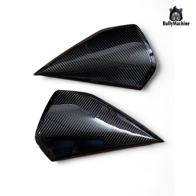 Coppia fianchi laterali in carbonio BMW R12 e R12 NineT