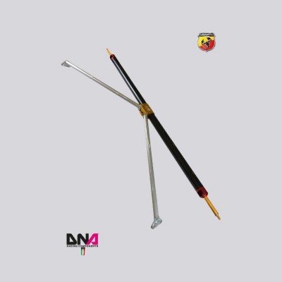 Abarth 500 595 695 DNA Racing Carbon Rear strut brace kit with tie rods 4 seats