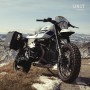 Le Point stickers BMW R NineT Family Unitgarage Urban gs