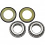 BMW R NineT Family steering column bearing kit with dust seal