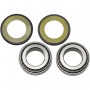 BMW R NineT Family steering column bearing kit with dust seal